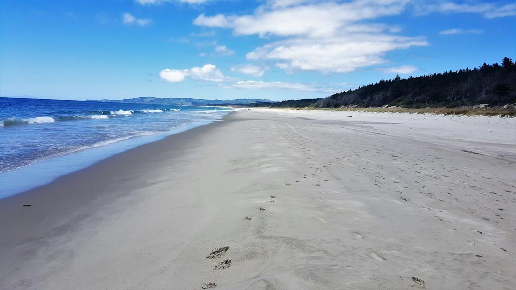 Appartamento Close To Beach Auckland Esterno foto